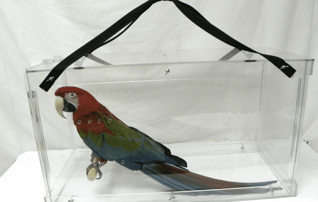 Best Macaw Travel Cage