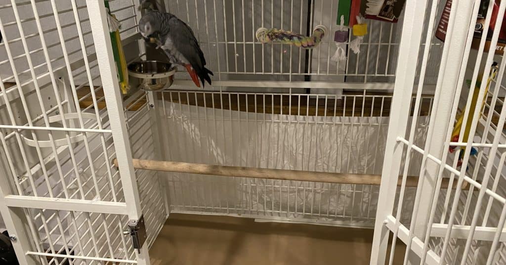 large white bird cage with paper bird cage lining