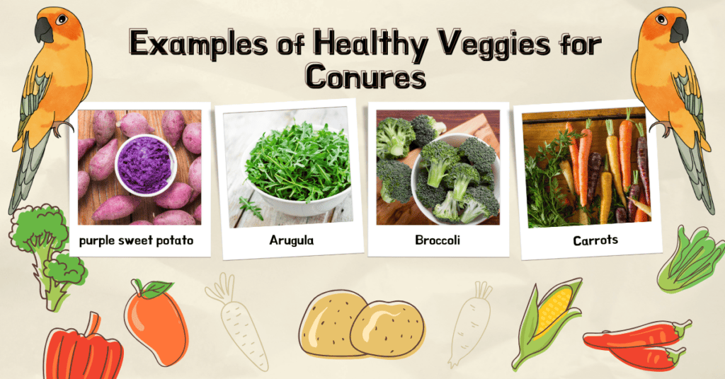 Safe Vegetables for Sun Conures - Sun conure food list