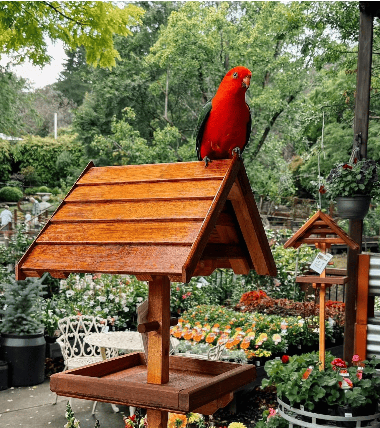 Picture of 16 Unique Bird Feeder Ideas: Get Ready for a Flock of Feathered Friends