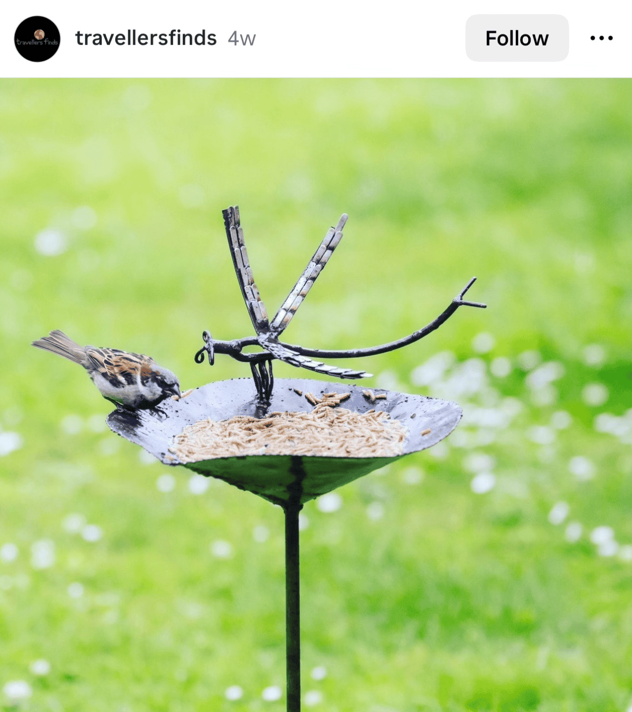 Gallery Detail: 16 Unique Bird Feeder Ideas Get Ready For A Flock
