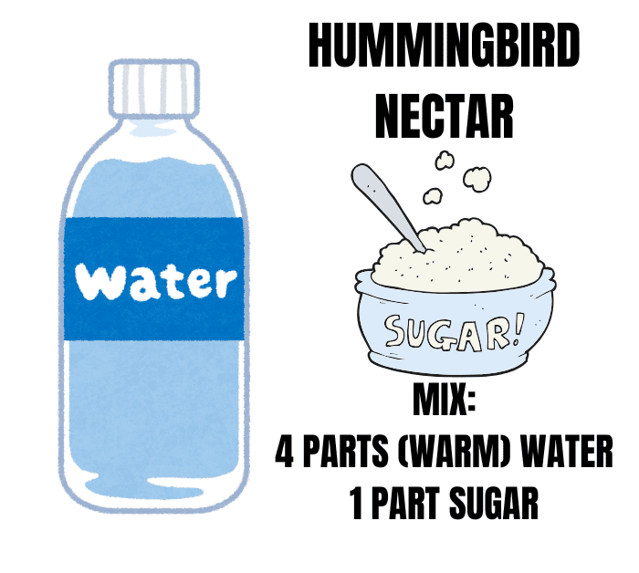 HUMMINGBIRD NECTAR RECIPE