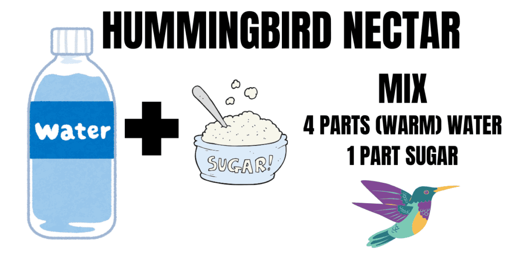 hummingbird nectar recipe feeder