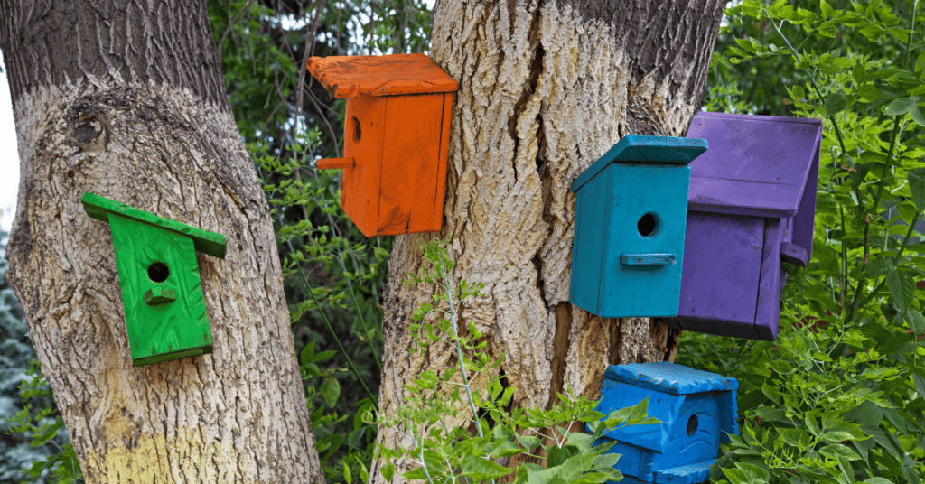 bright birdhouse colors blueish, purple green, orange