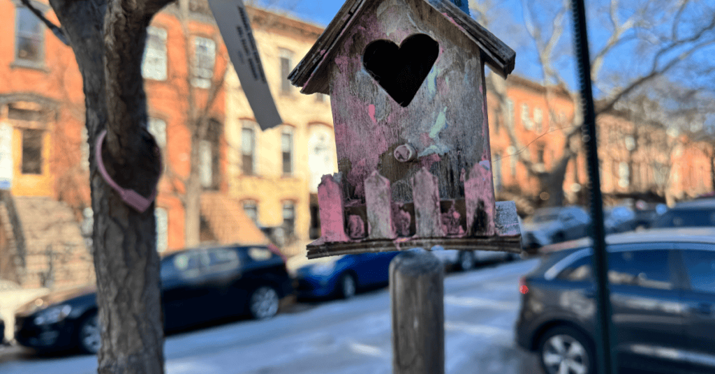 rustic bird feeder with some splashes of color in Brooklyn NY