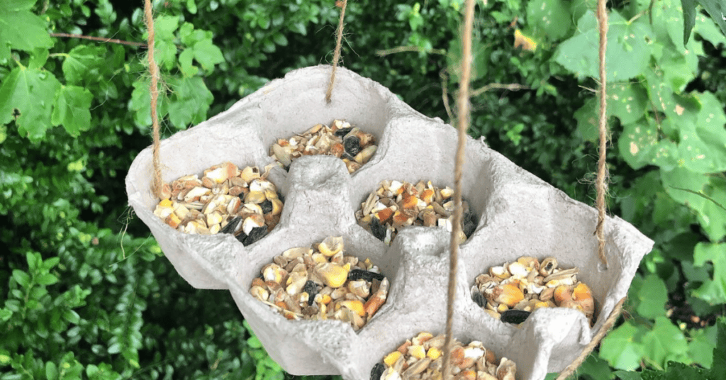 DIY bird feeder egg carton