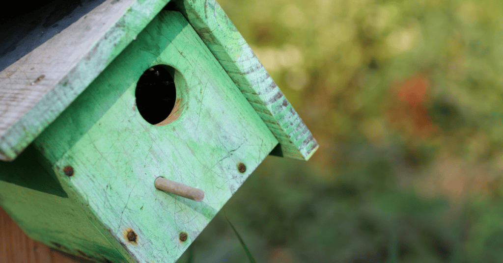 green birdhouse