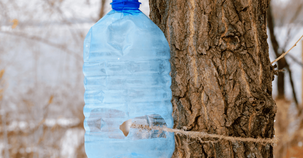 recycled bird feeder out of plastic bottle