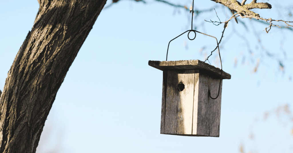 rustic bird feeder over a lake - natural wood birdhouse