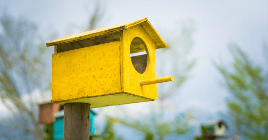 yellow birdhouse