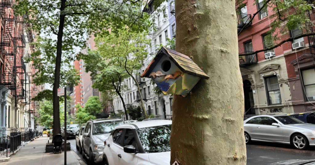 natural birdhouse