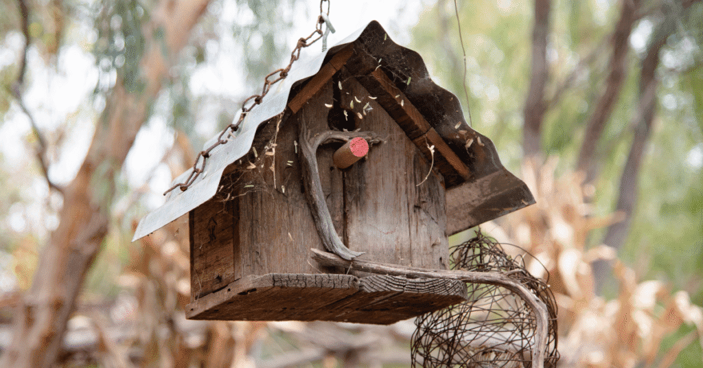 natural metal roofbirdhouse