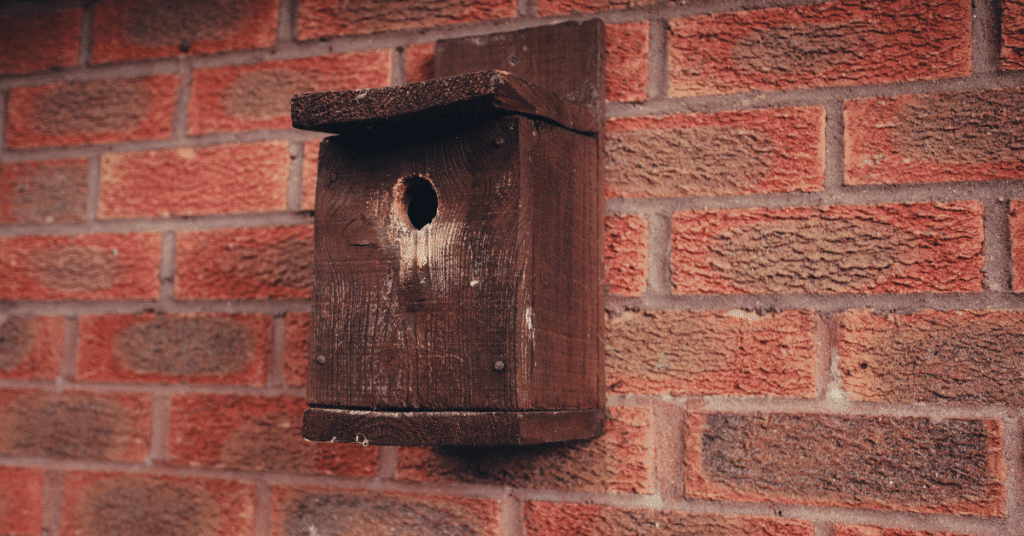 natural nest box birdhouse