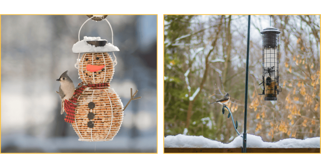 Tufted Titmouse in the snow